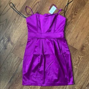 Forever 21 dress, NWT